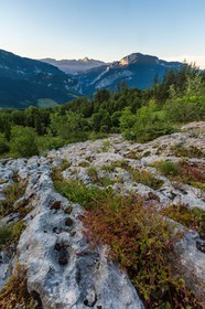 ENS de l'Isère, vallée fossile des Rimets