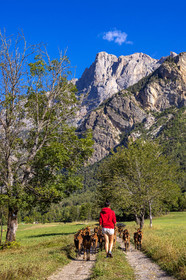 Gaec La Ferme des Ecrins
