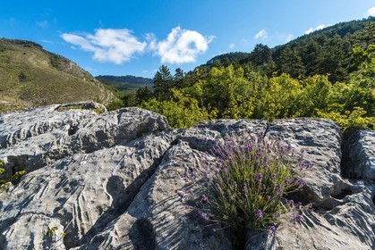 Saint-Geniez, Chardavon