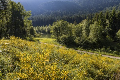 ENS de l'Isère, Marais des Seiglières