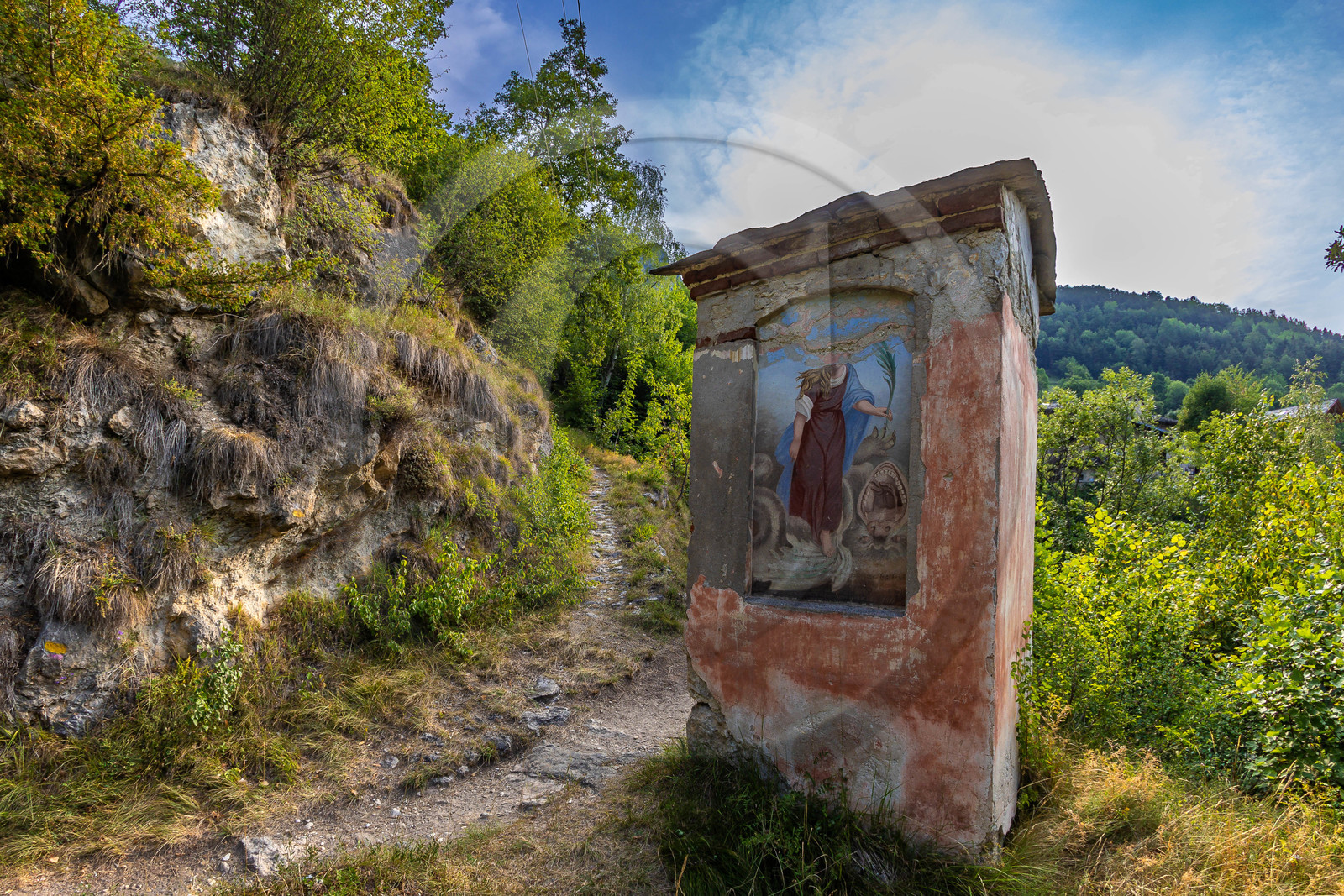 Camoglieres, sentier des cyclamens