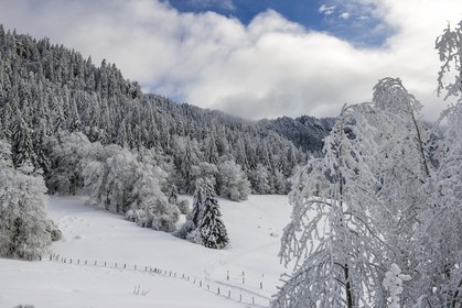 ENS de l'Isère, Les Ecouges