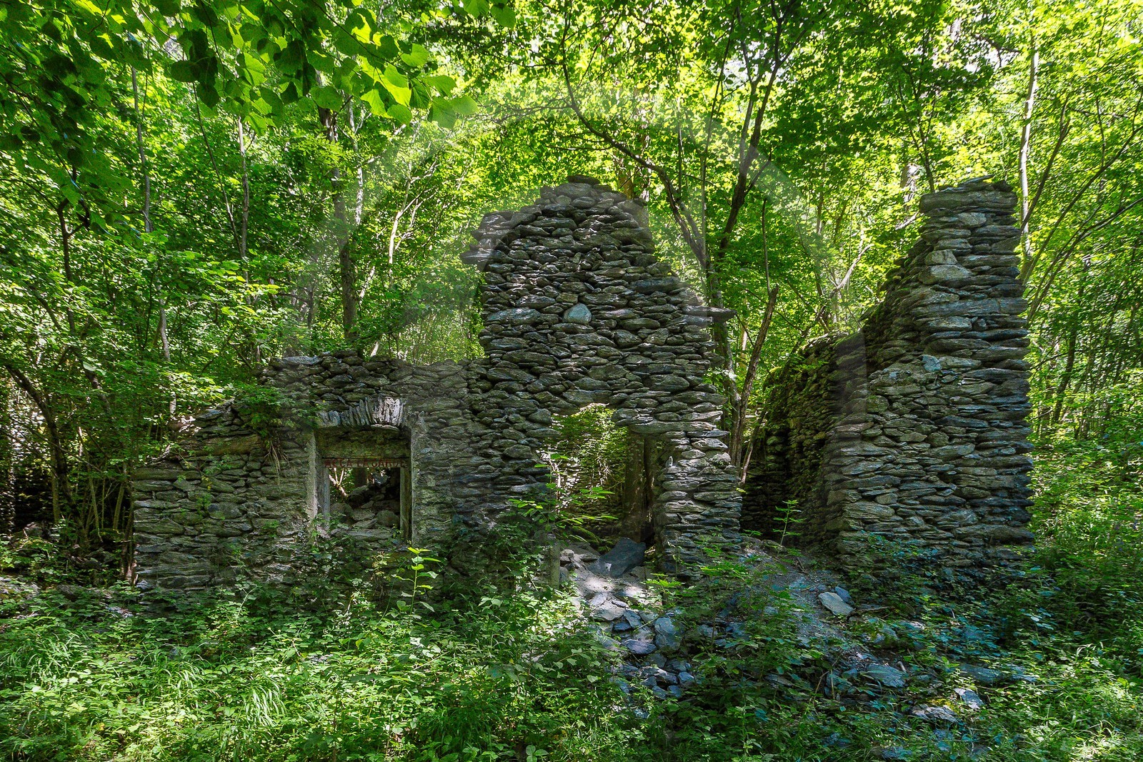 ENS de l'Isère, Vieille morte de Bourg d'Oisans