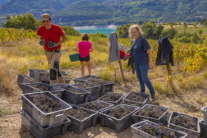 Domaine du Mont Guillaume