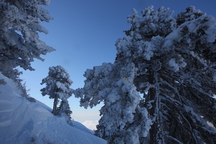 Espace naturel sensible de l'Isère, Col du Coq