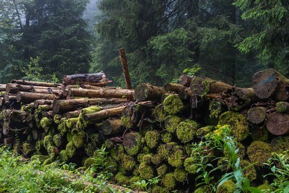 ENS de l'Isère, Les Ecouges