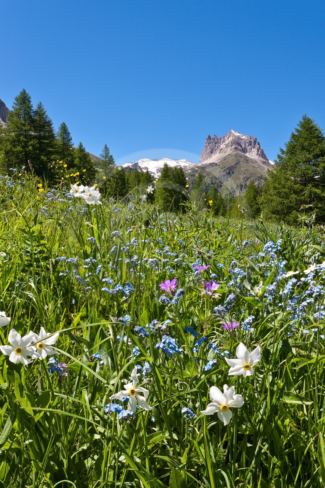 Vallée Etroite, (Valle Stretta en italien)
