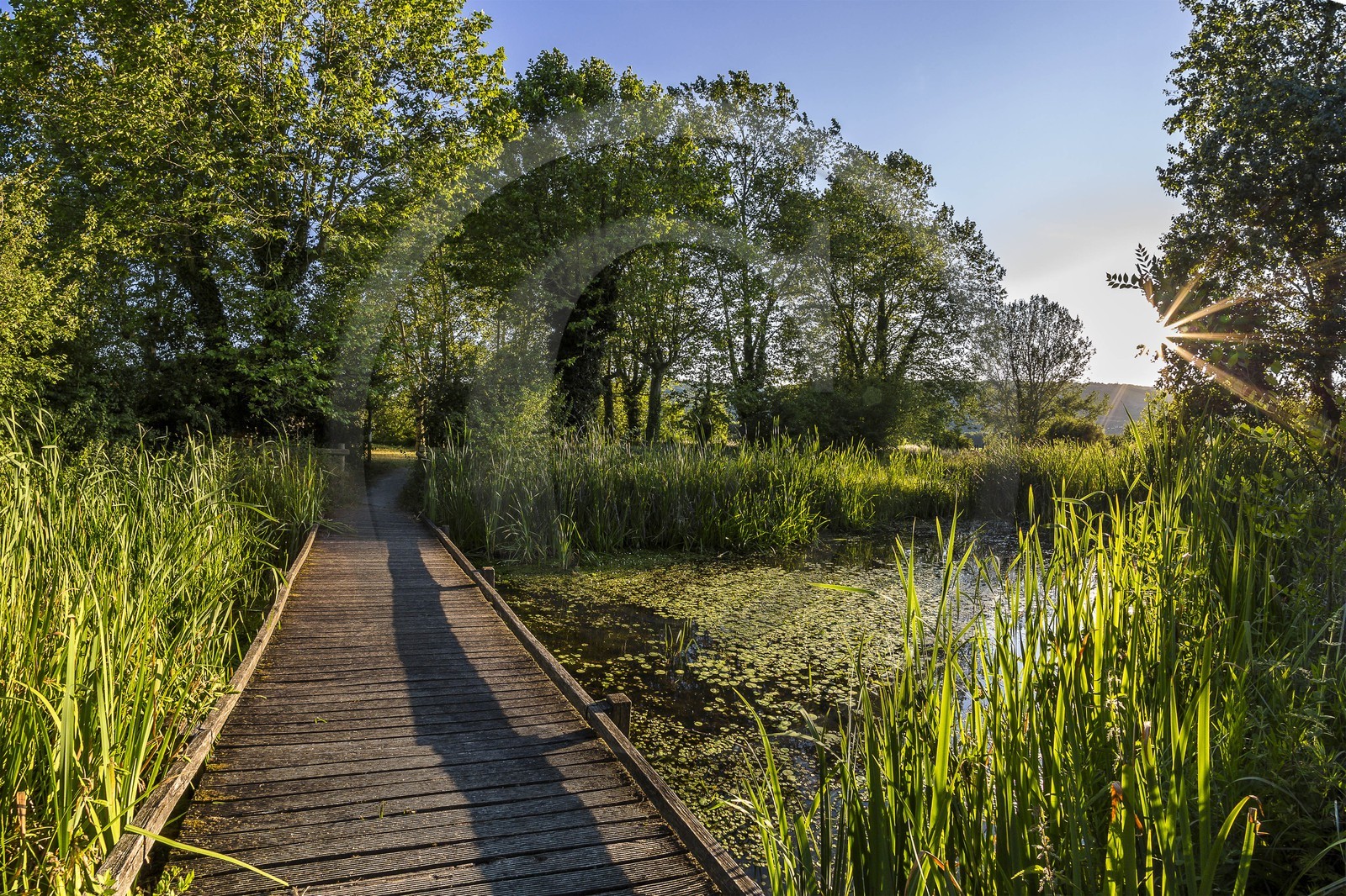 ENS de l'Isère, , le méandre des Oves
