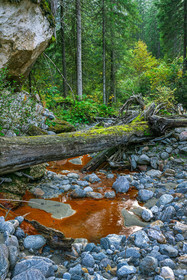 Réserve naturelle des Contamines-Montjoie, source ferrugineuse dans le torrent de Tré-la-Tête