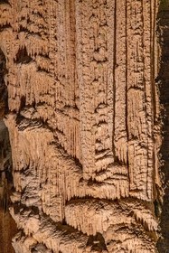 Grotte de Dargilan