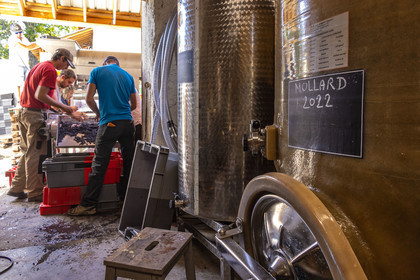 Domaine du Mont Guillaume
