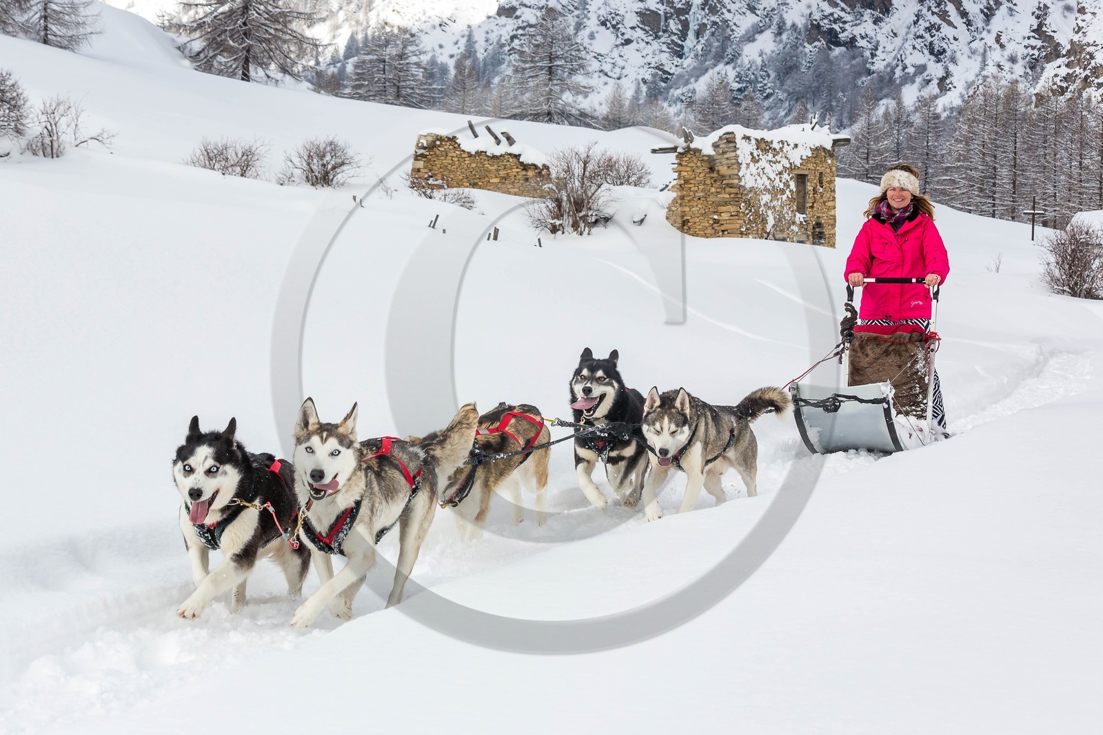 La Condamine-Châtelard, Sainte-Anne la Condamine, Coralie Bonnerot et ses chiens de traineau