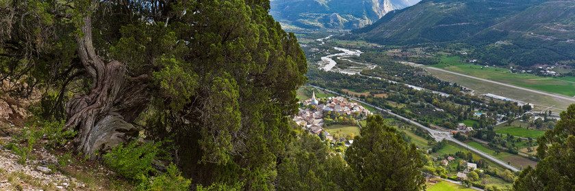 Thurifaie de Saint-Crépin