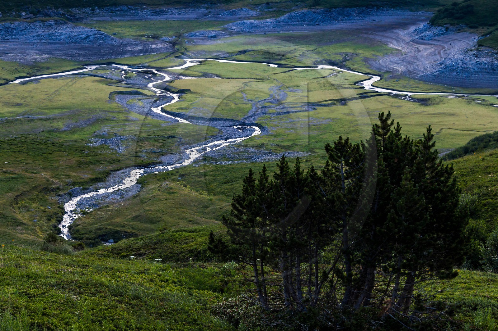 alpages du lac du Mont-Cenis