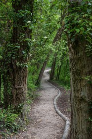 ENS de l'Isère, bois de la Bâtie