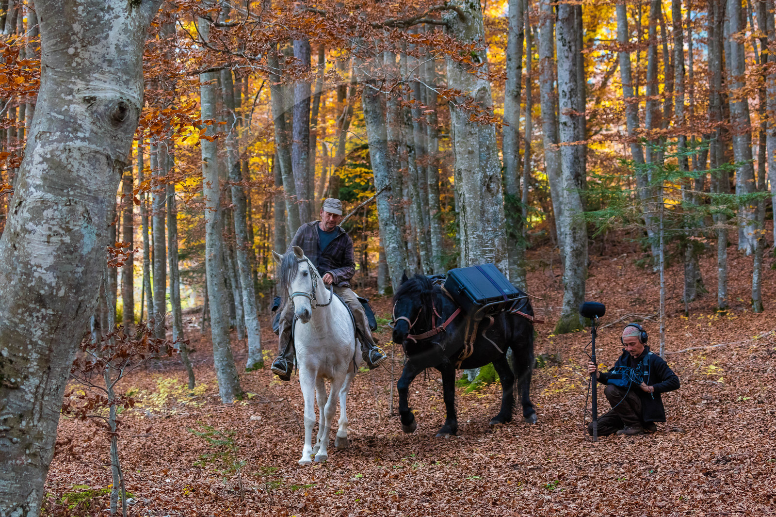 Making of du film La vallée des loups