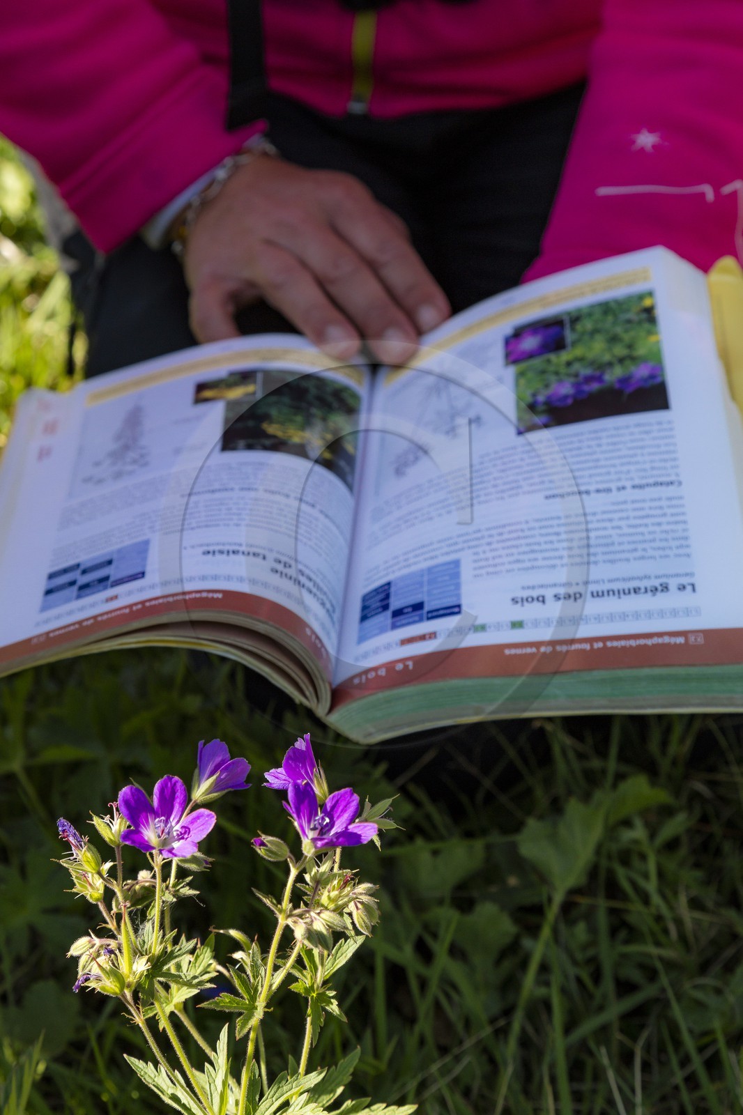 Céline Jumentier, accompagnatrice en moyenne montagne