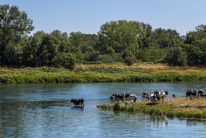 ENS de l'Isère, , le méandre des Oves