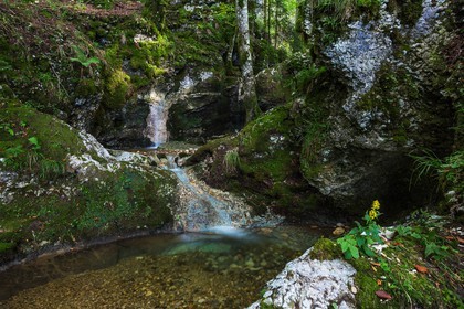 ENS de l'Isère, Les Ecouges