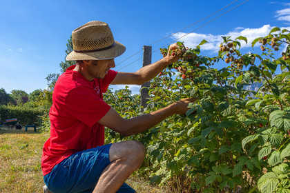 Ecrins de fruits, producteur de fruits rouges