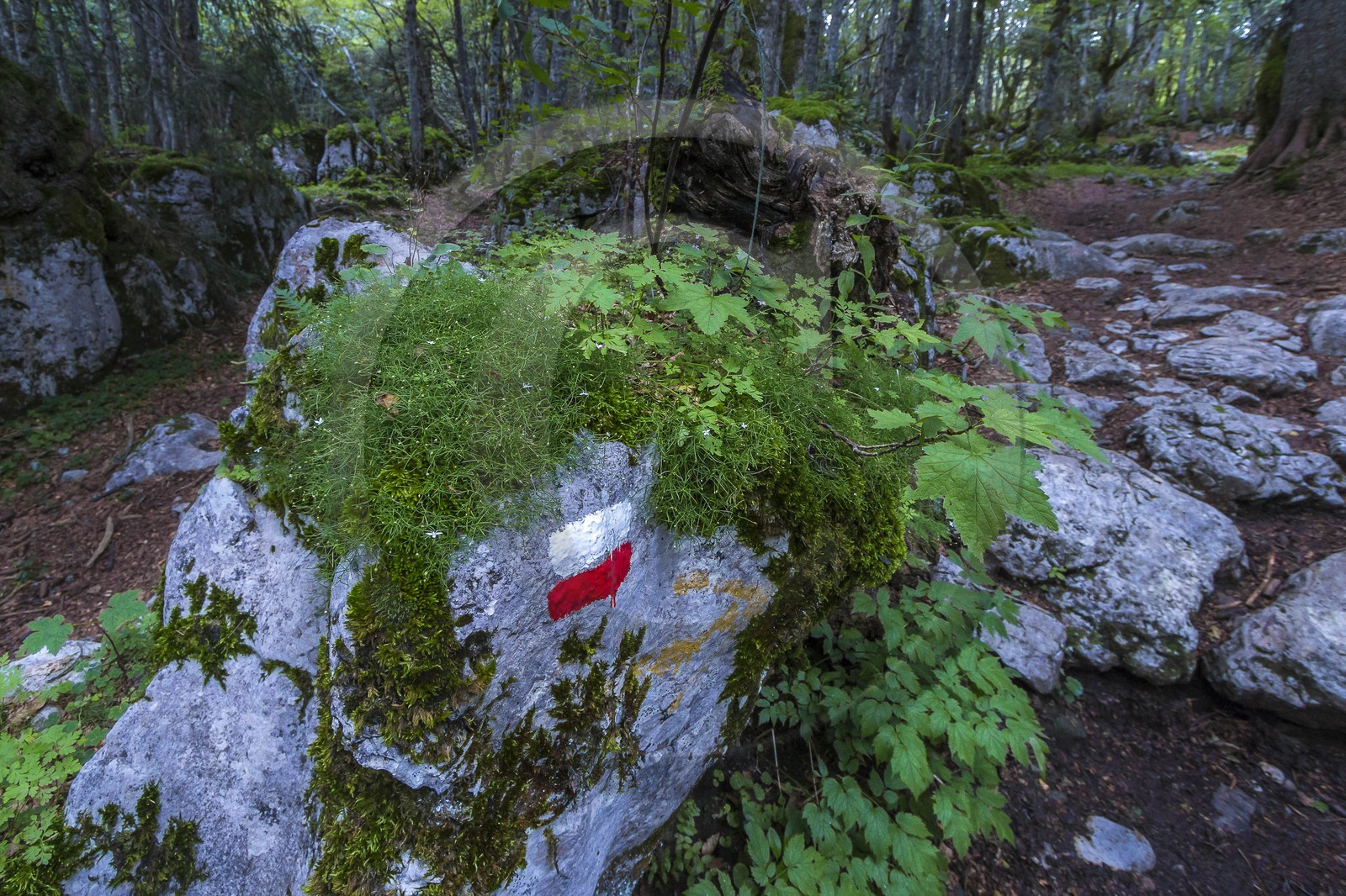 ENS de l'Isère, Plateau de la Molière et du Sornin