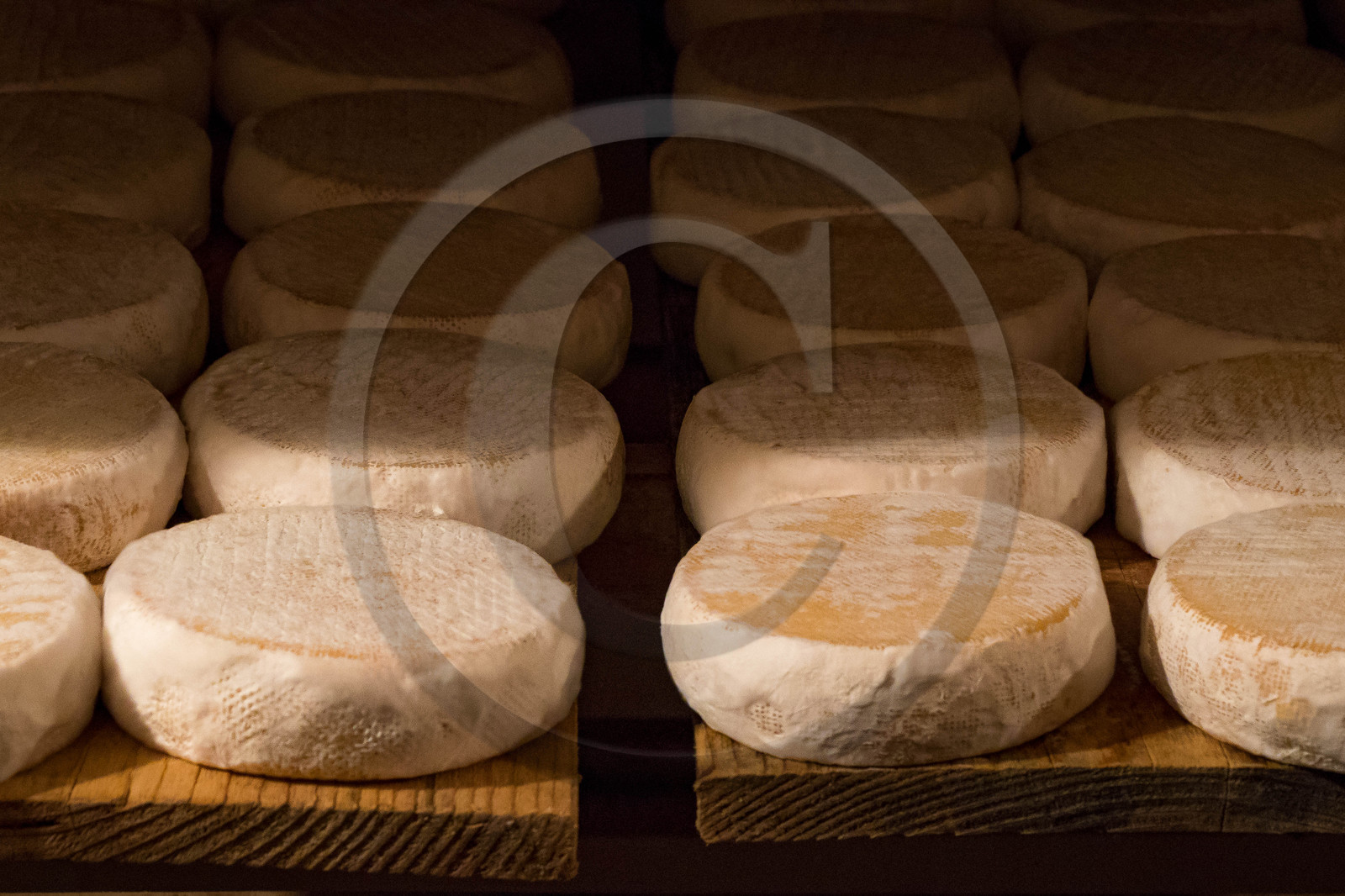 Gaec La chèvrerie des Combettes