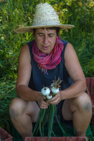 LéguMontagne, Sylvie Jaussaud et  Bertille Gieu, Maraîchères bio