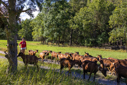 Gaec La Ferme des Ecrins