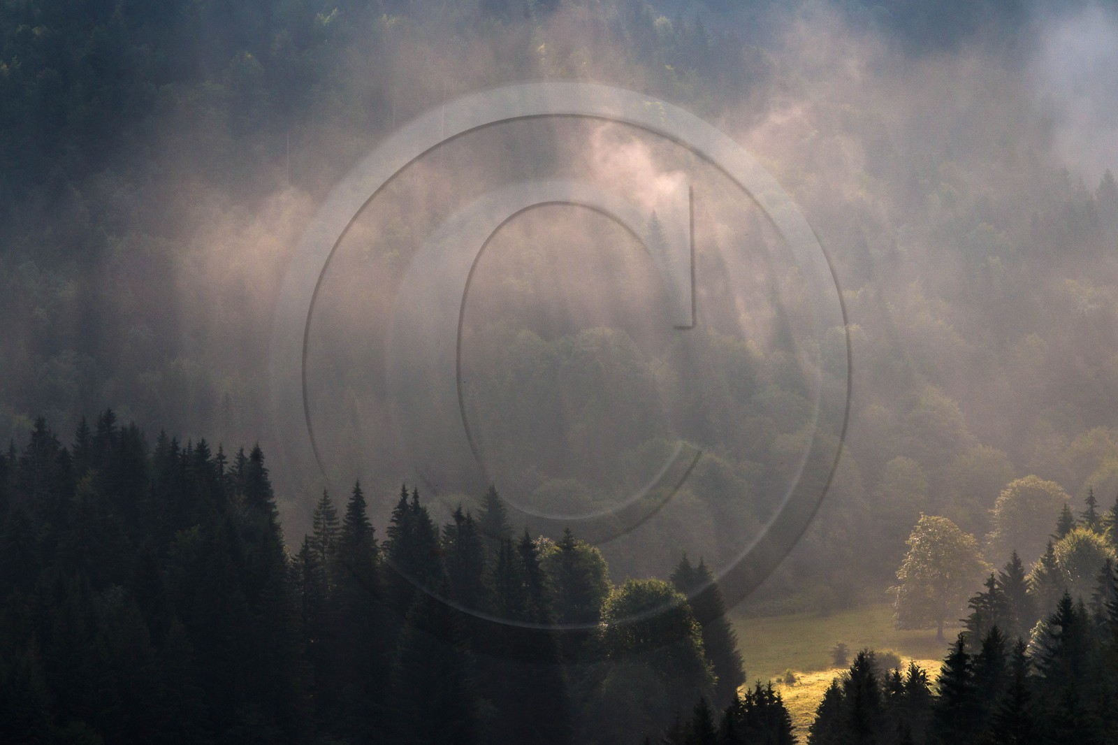 ENS de l'Isère, Les Ecouges