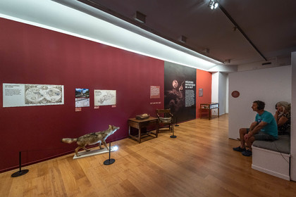Musée Muséum départemental des Hautes-Alpes, Exposition Nuit