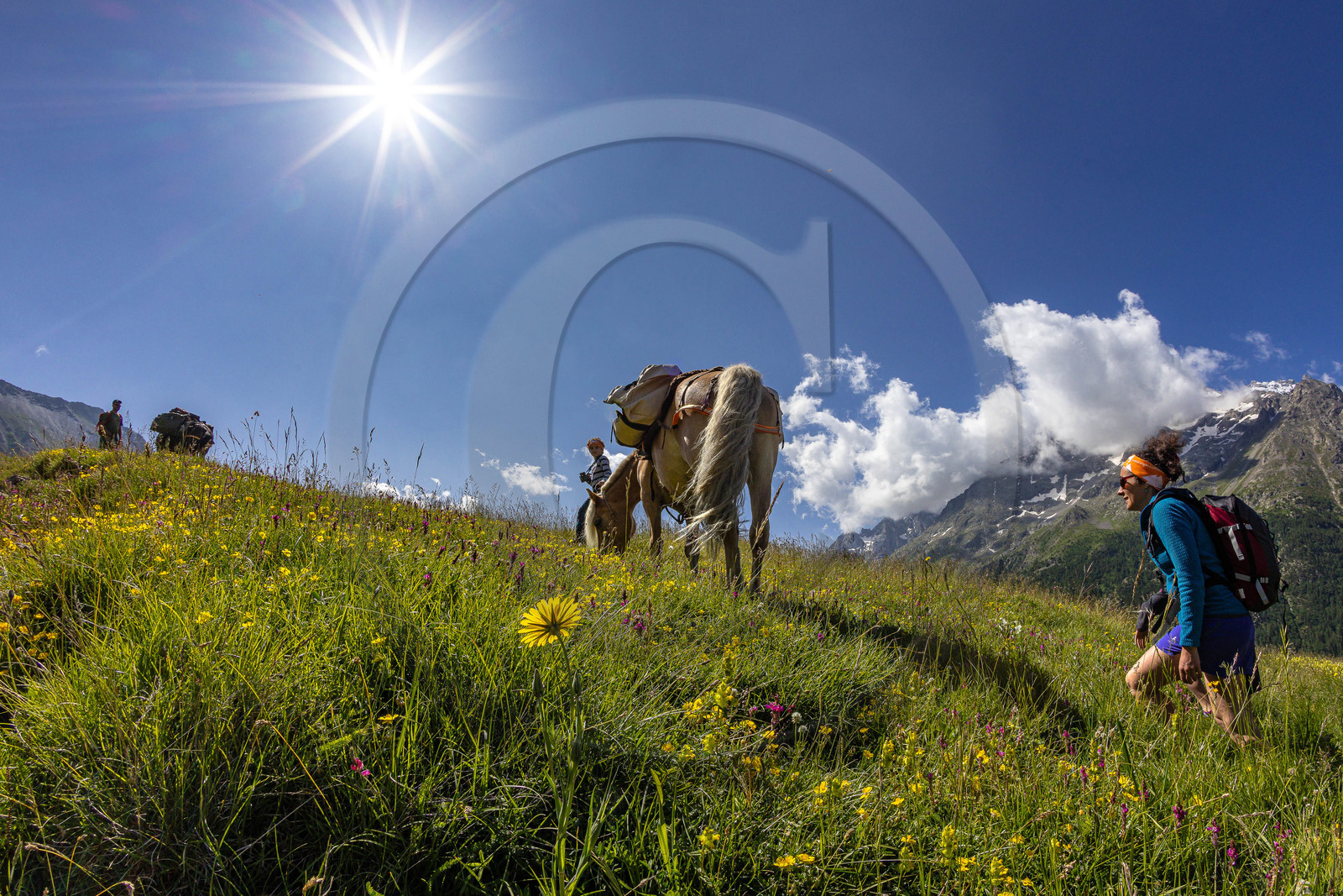 Trek famille avec animaux de bats