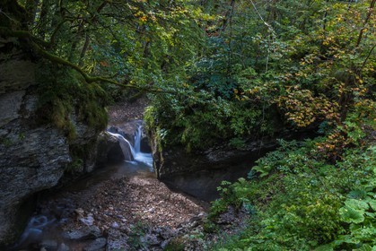 ENS de l'Isère, Les Ecouges, rivière La Drevenne