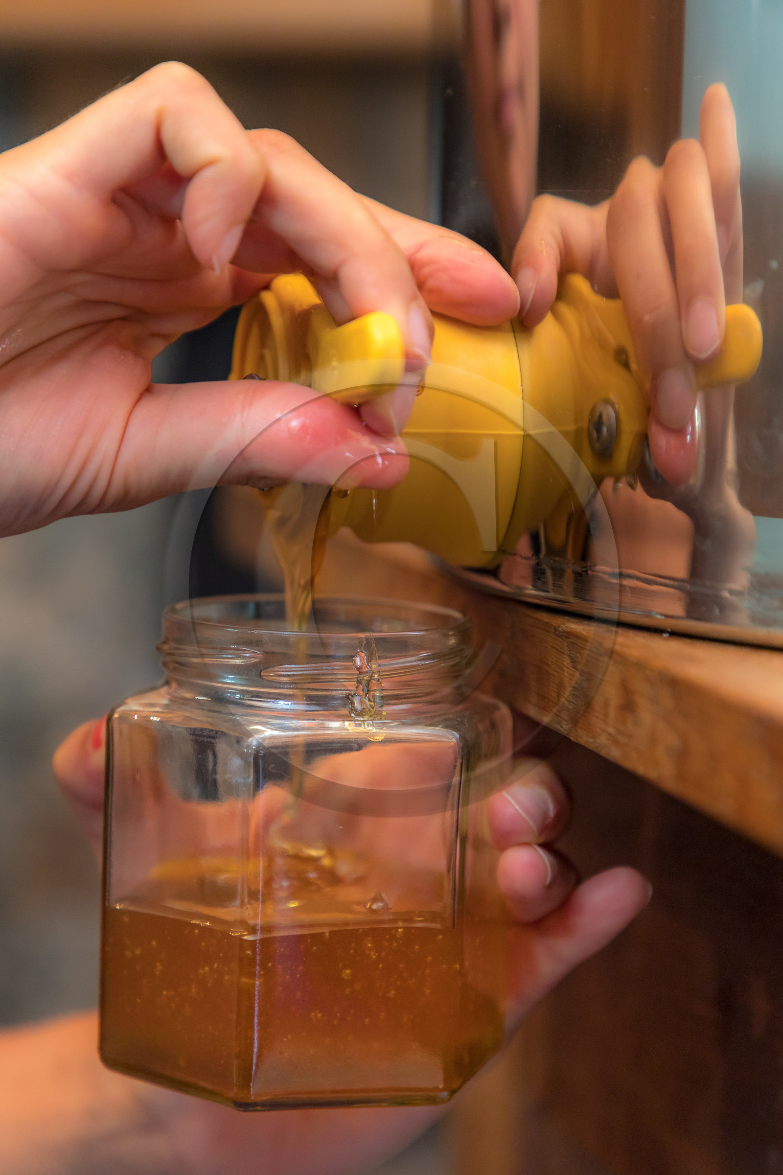 Margaux et Didier Pissard, apiculteurs