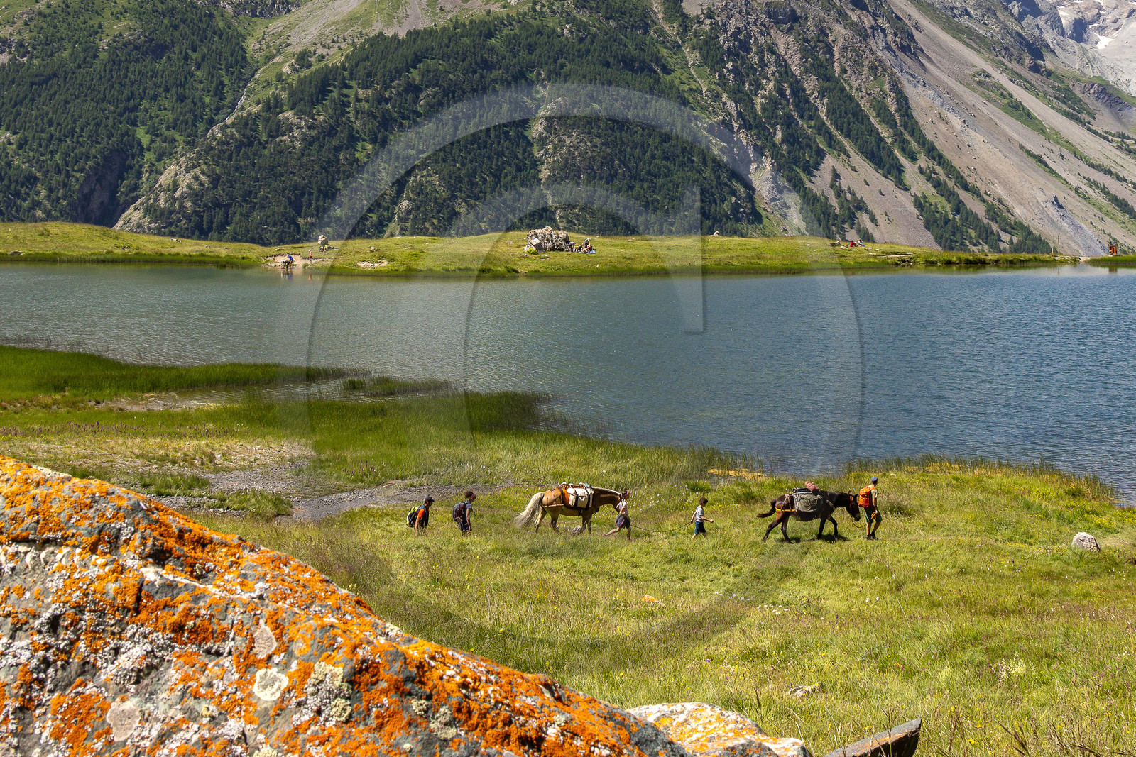 Trek famille avec animaux de bats