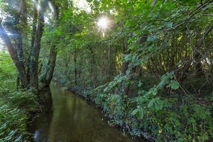 ENS de l'Isère, étang de Montjoux