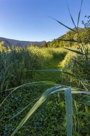 ENS de l'Isère, Marais des Sagnes