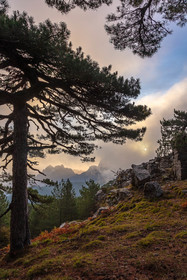 Les Aiguilles de Bavella (forchi di Bavedda )