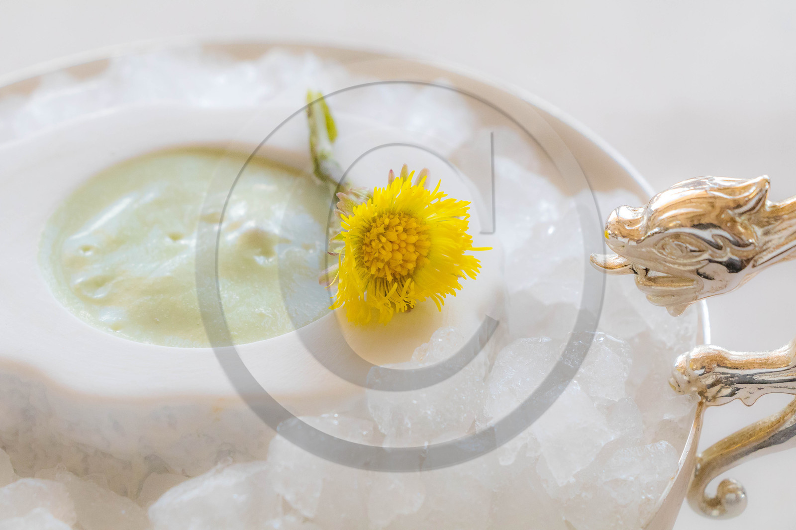 Ce faux caviar du Léman, gelée tremblotante, crème de tussilage