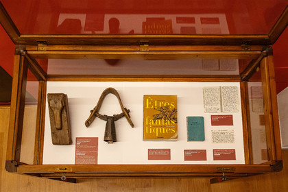 Musée Muséum départemental des Hautes-Alpes, Exposition Nuit