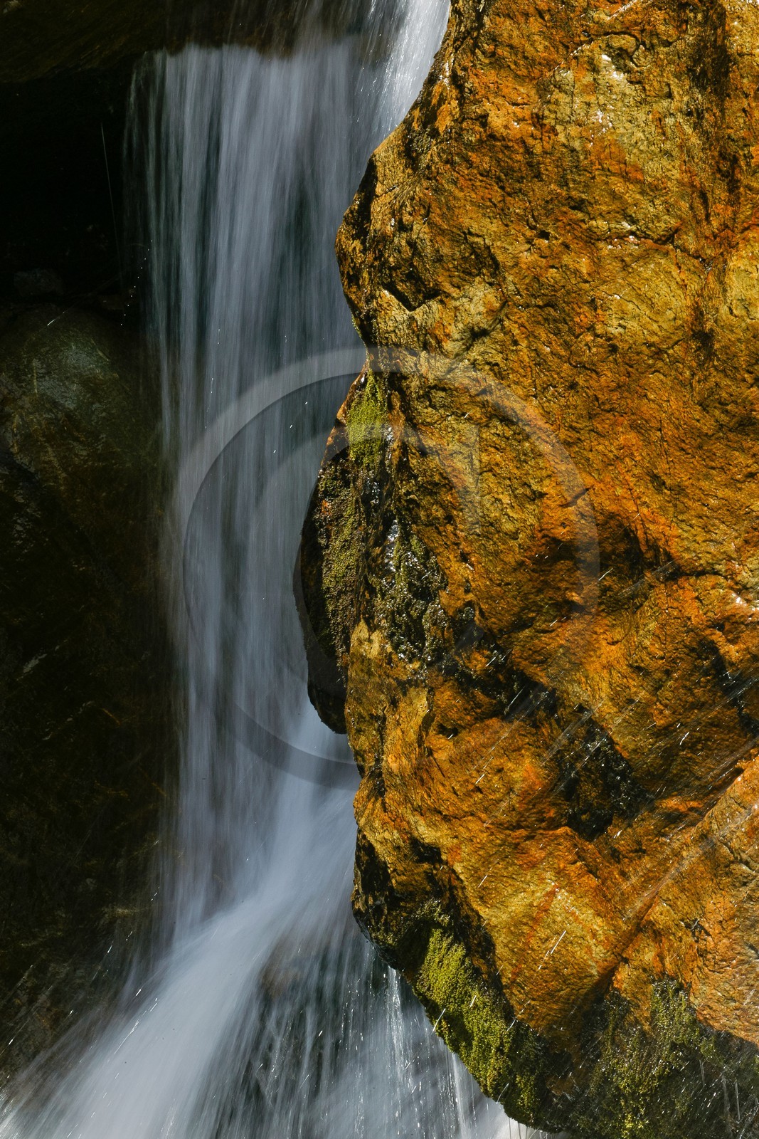 Réserve naturelle du Vallon de Bérard, cascade, torrent de Bérard