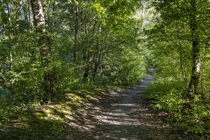 ENS de l'Isère, Boucle de la Taillat