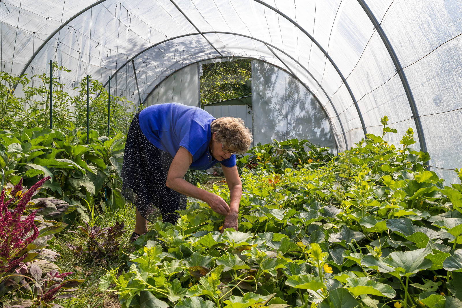Jocelyne Pascal , Auberge de Caléyères