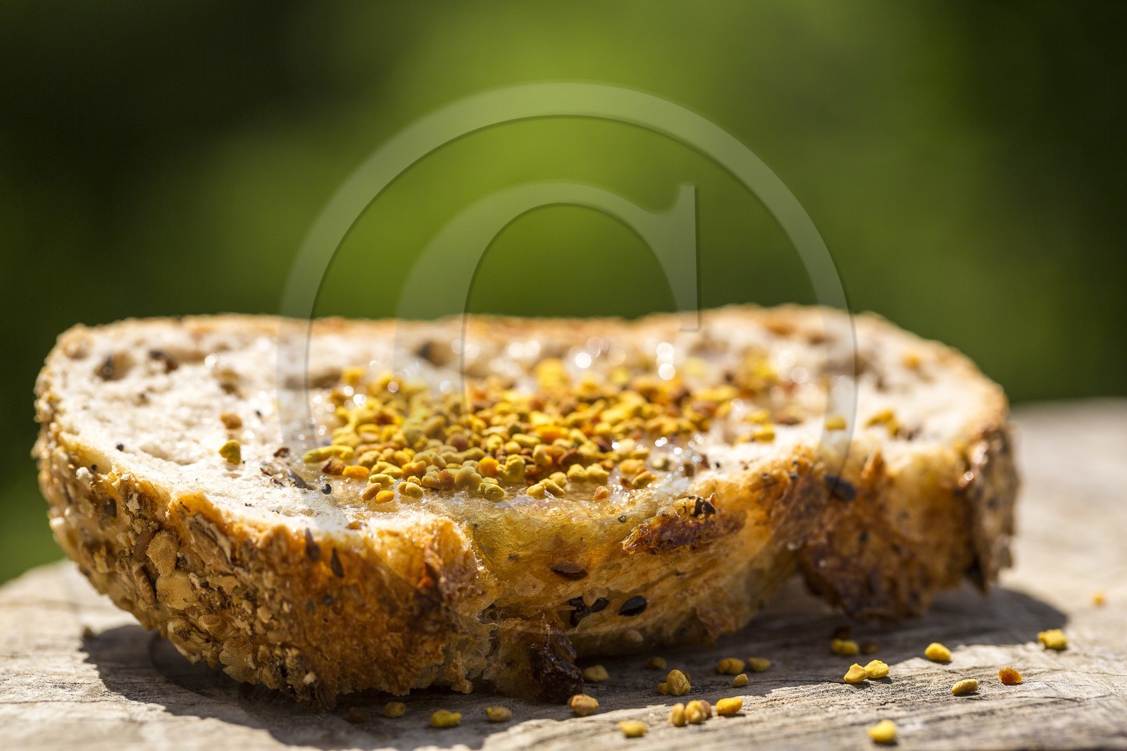 Mathieu Picavet, apiculteur