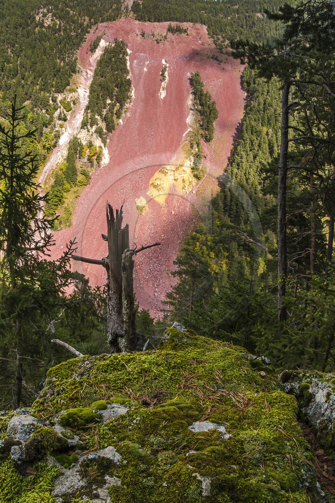 Vallée de la Tinée, Roubion, gorges de la Vionène, las chalanchas