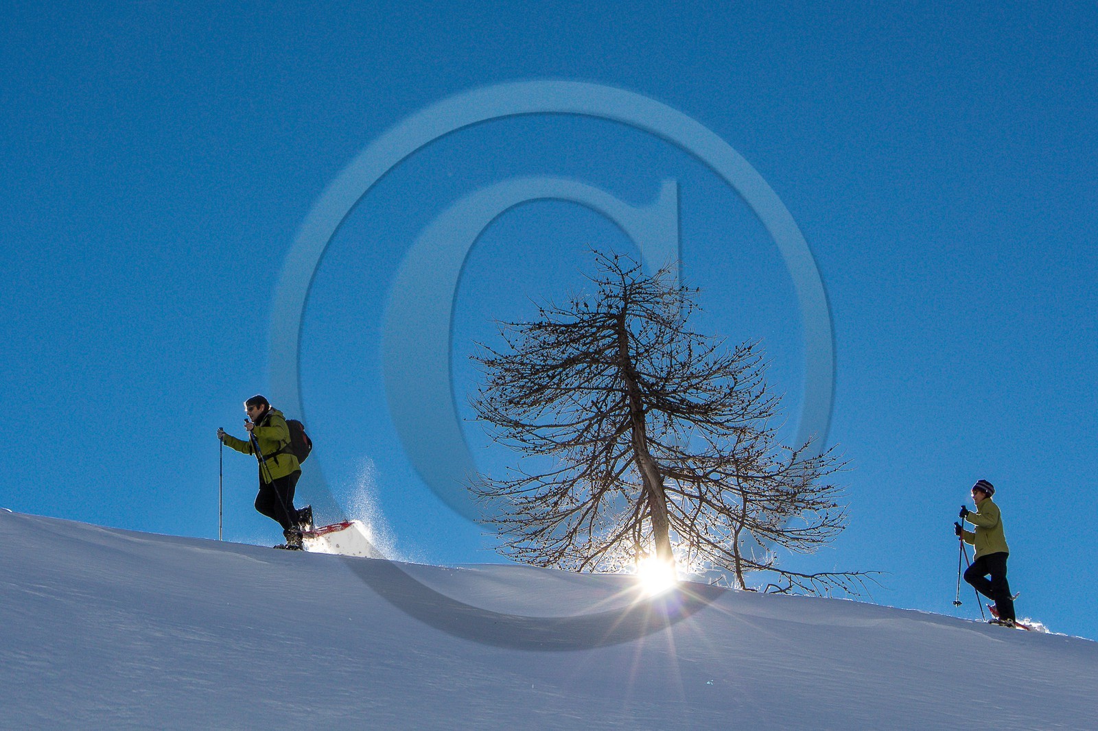 Col de Larche, vallon du lauzanier, randonnée raquettes