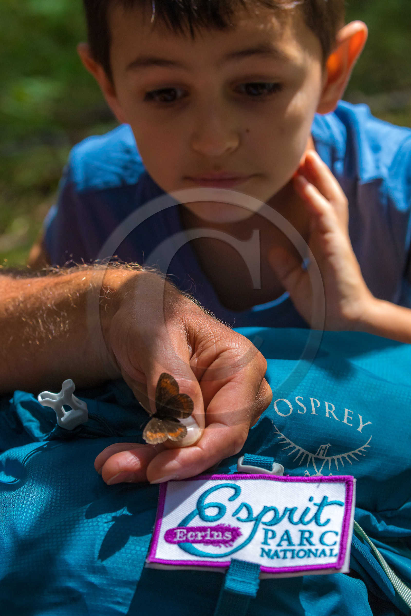 Curieux de nature, sortie découverte avec Cyril Mahout