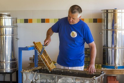 Patrick Challet apiculteur