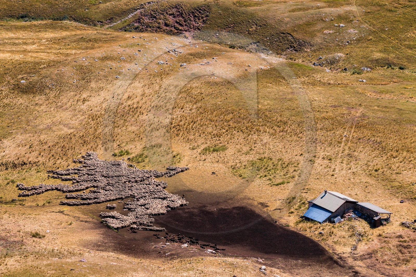 Les Monges, paturage et cabane de Clapouse