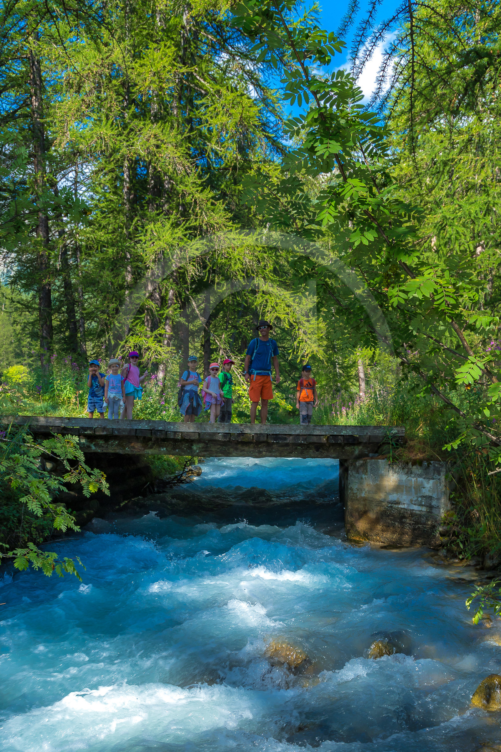 Curieux de nature, sortie découverte avec Cyril Mahout