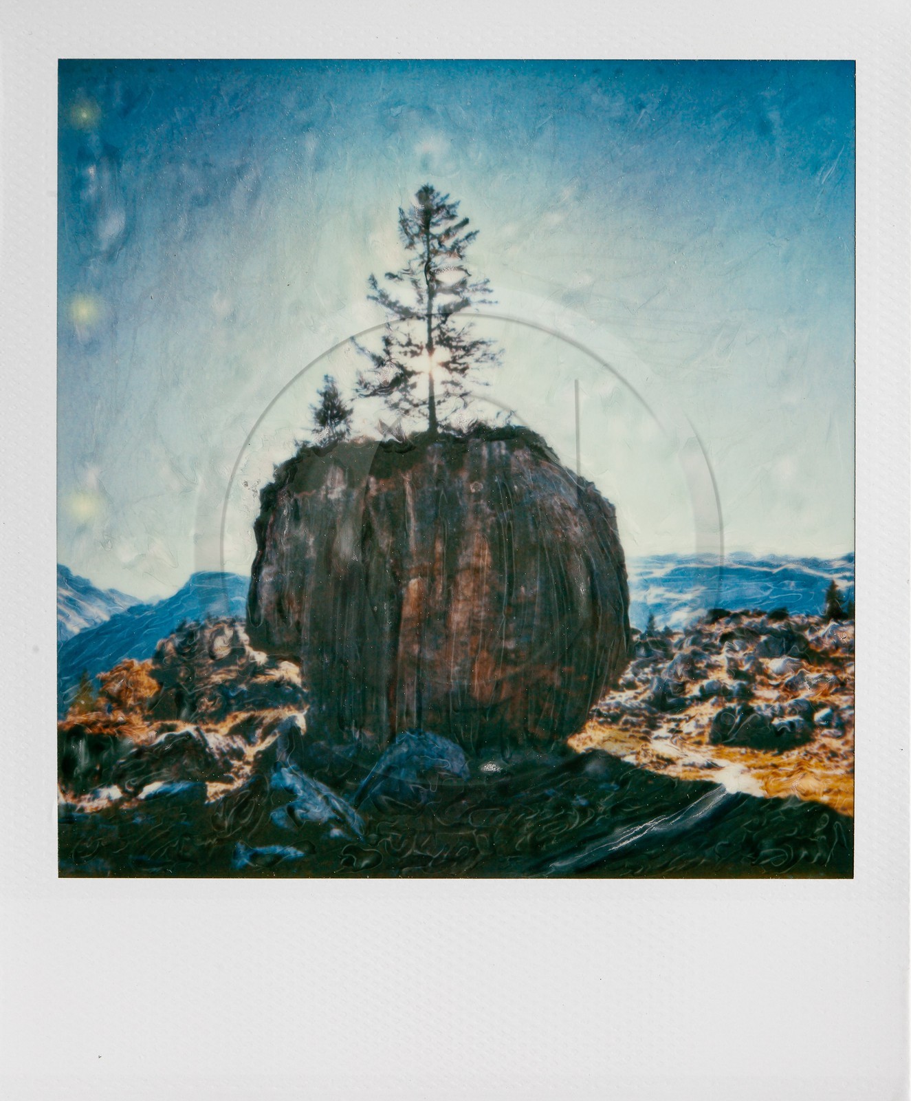 Exposition Arbres et petites forêts, éloge de la biodiversité